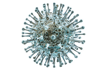 Highly Magnified Virus