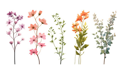 twig flowers isolated on transparent background cutout