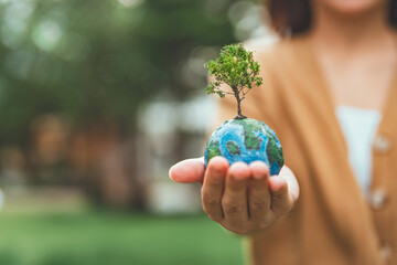 World environment day, B roll - hands of woman holding globe with tree on green tree bokeh background, ecology concept, earth day, Better Environment, copy space.