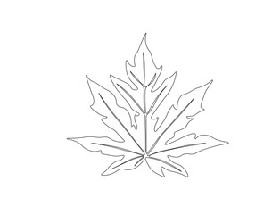 Naklejka premium Continuous one line drawing of papaya leaf. Single line drawing illustration of tropical papaya leaf plant. Tropical leaves concept line art. Editable outline