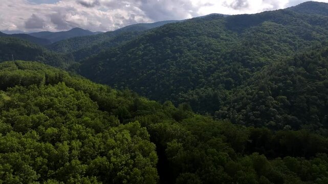 Beautiful Great Smoky Mountain landscape in North Carolina with green trees blue sky and cloud shadows on hillside 