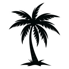 Palm tree silhouette, Vector palm tree