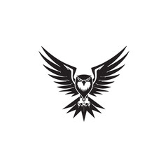 Obraz premium eagle with wings