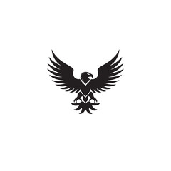 Obraz premium eagle with wings