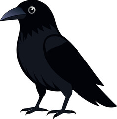 crow silhouette vector illustration