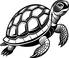 turtle silhouette vector on white background