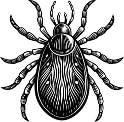 Beetle silhouette with  white Background