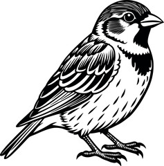 sparrow silhouette