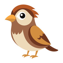Illustration of Sparrow standing isolated