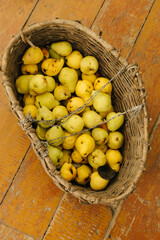 basket of pears