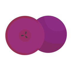 vector grapes, isolated purple fruit illustration