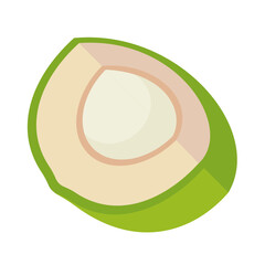 illustration of young coconut, tropical fruit