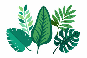 Tropical different types of exotic leaves set. Jungle plants. Calathea, Monstera, and palm leaves. Realistic vector  illustration isolated on a white background