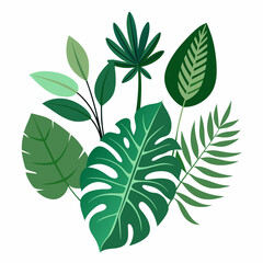 Tropical different types of exotic leaves set. Jungle plants. Calathea, Monstera, and palm leaves. Realistic vector  illustration isolated on a white background