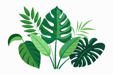Tropical different types of exotic leaves set. Jungle plants. Calathea, Monstera, and palm leaves. Realistic vector  illustration isolated on a white background