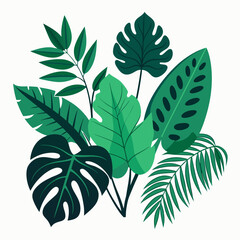 Tropical different types of exotic leaves set. Jungle plants. Calathea, Monstera, and palm leaves. Realistic vector  illustration isolated on a white background