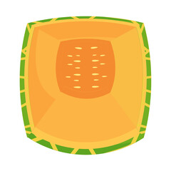 illustration of ripe melon fruit, tropical fruit