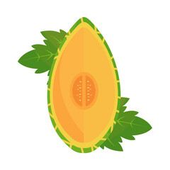 illustration of ripe melon fruit, tropical fruit