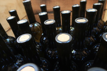 
Wine bottles aging in a Georgian cellar