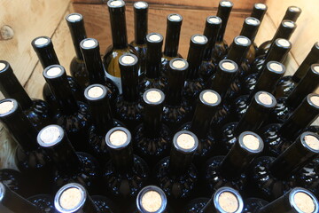 
Wine bottles aging in a Georgian cellar