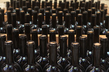 
Wine bottles aging in a Georgian cellar