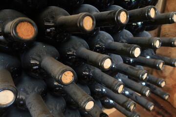 
Wine bottles aging in a Georgian cellar