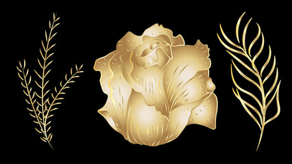 Gold Luxury golden rose flower line art background vector. Natural botanical elegant flower with...