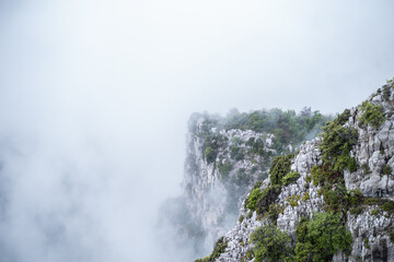 Falaise dans la brume