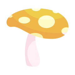 Mushrooms Poisonous and edible mushrooms isolated vector illustration