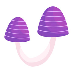 Mushrooms Poisonous and edible mushrooms isolated vector illustration