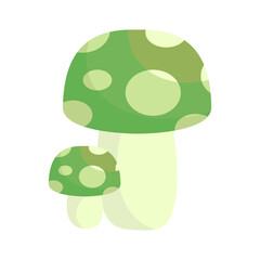 Mushrooms Poisonous and edible mushrooms isolated vector illustration