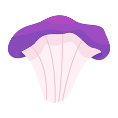 Mushrooms Poisonous and edible mushrooms isolated vector illustration