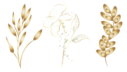 Golden Line art botany. Golden fall dried gold flower elements, leaves branches on white background wallpapers, postcards, greeting cards, wedding invites.
