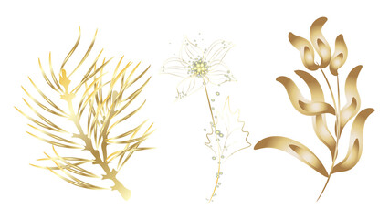 Golden Line art botany. Golden fall dried gold flower elements, leaves branches on white background wallpapers, postcards, greeting cards, wedding invites.