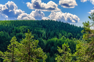 Aerial view of Finnish forest at summer Finland from a hill. Romantic vacation feelings near Jyväskylä Säynätsalo. 