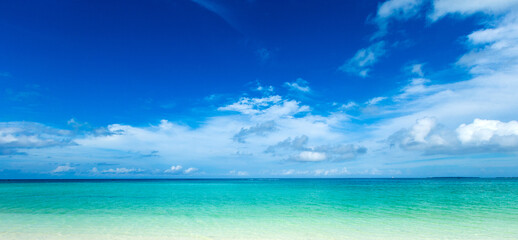 tropical beach in Maldives with few palm trees and blue lagoon