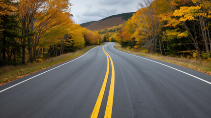Golden hues of New Englands fall foliage frame a winding road creating a vibrant backdrop for a September exploration journey 