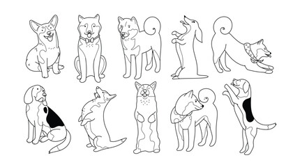 Set with 10 different breed dogs, like Shiba Inu, Beagle, Corgi and Dachshund. Hand drawn pets in line design, editable stroke. Isolated line vector illustrations on white background
