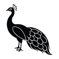 Fototapeta premium Peacock Silhouette Vector Illustration 