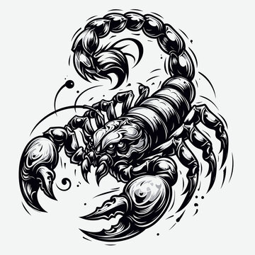 Intricate tribal scorpion illustration in black and white, tattoo design