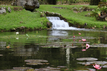 japanese garden pond