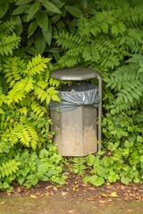 Obraz premium litter bin in the bushes of a park