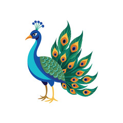 Peacock color  Vector Illustration
