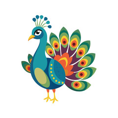 Peacock color  Vector Illustration

