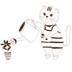 cat with a watering can