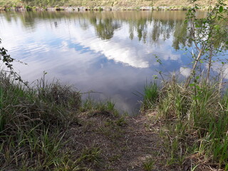 ein Teich in Berlin - Rudow - Neukölln