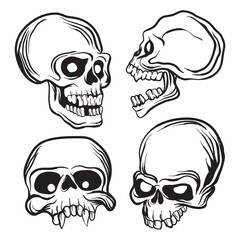 Skulls. Set of vector skulls. Skulls on white background