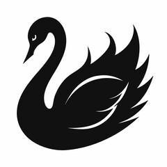 Fototapeta premium Swan Black silhouette