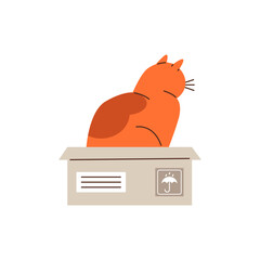 Cute ginger cat playing and sitting in cardboard box, vector funny hiding kitten, cartoon fluffy pet animal back view
