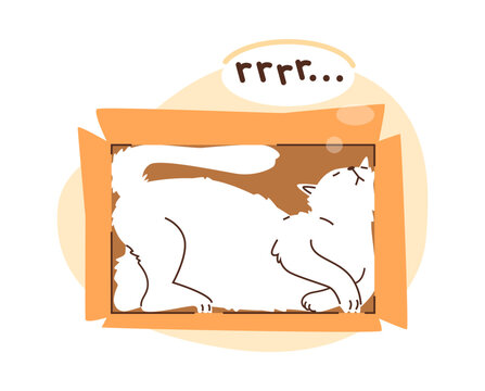 White cat in a box, vector sticker with the inscription "rrrr".